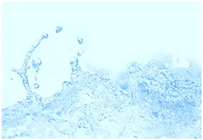 エスケープレミアムシリコン 伊勢原市 厚木 平塚の外壁塗装店 株 Rinoa リノア